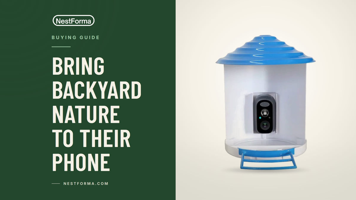 A solar-powered smart bird feeder with night vision mounted on a wooden post with a colorful bird on the perch.