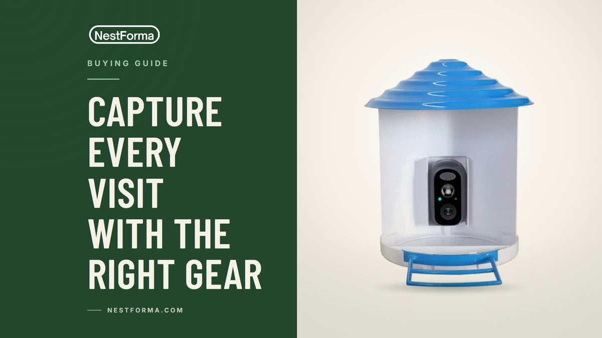 A close-up of the Solar Bird Feeder Camera showing the integrated solar panel and wide-angle lens.
