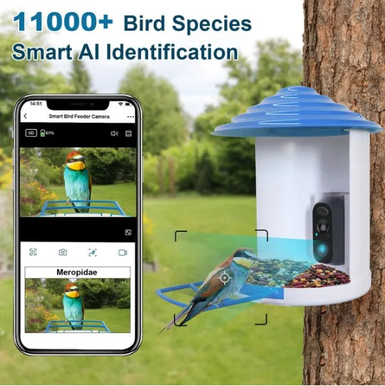 AI bird identification shown in the iCam365 app next to the feeder