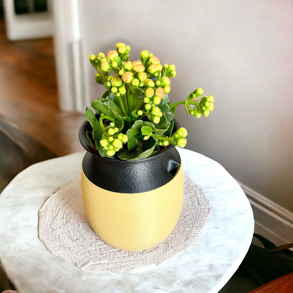 Kyoto self-watering planter — color option