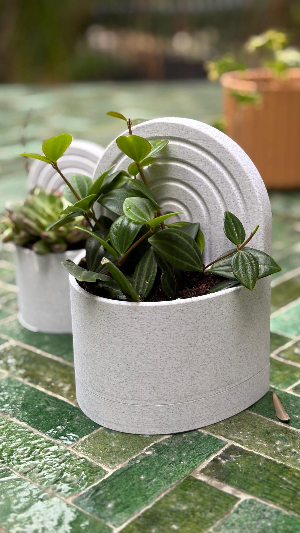 Bookend planter — with succulent