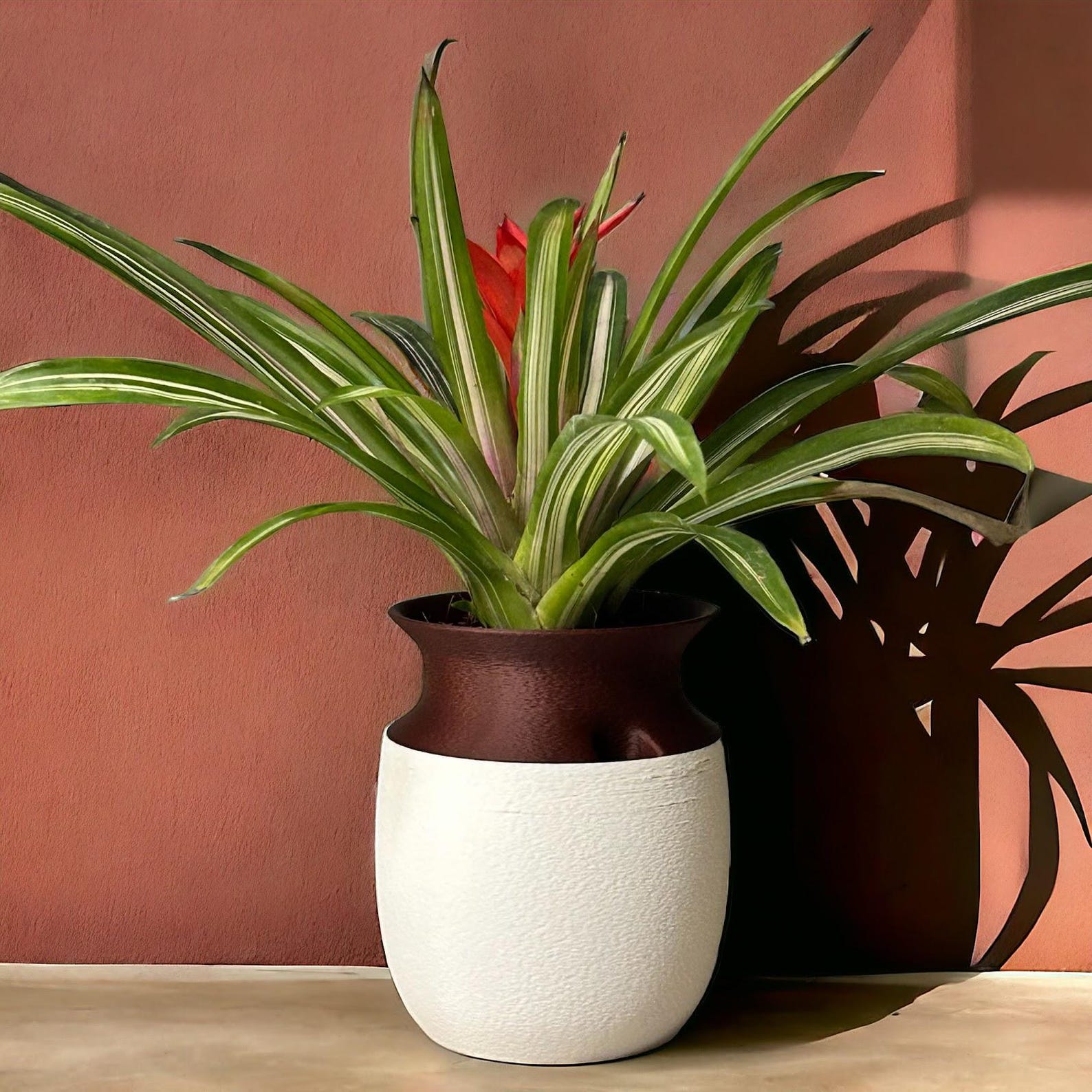 Kyoto self-watering planter — detail view