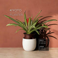 Kyoto 3D printed self-watering planter with a houseplant on a shelf