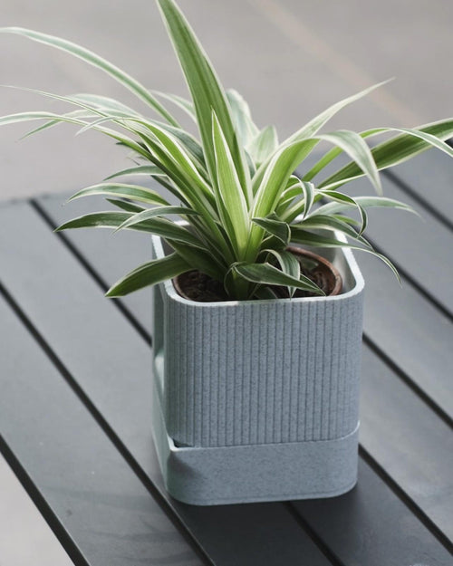 Aura ribbed planter — detail view