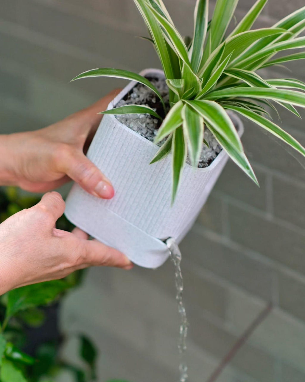 Aura ribbed planter — lifestyle view